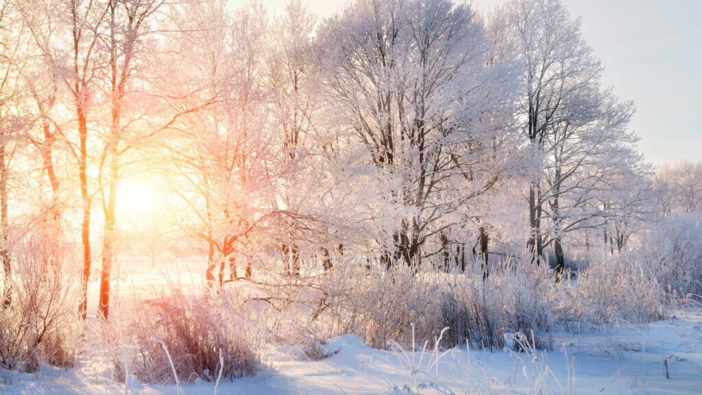 A season of letting go — so we can create space for new growth when spring arrives.